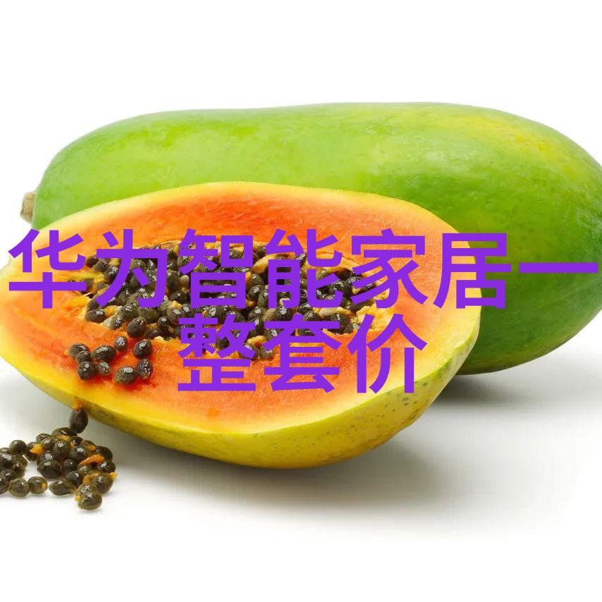 电热生活探索电加热器的便利与安全