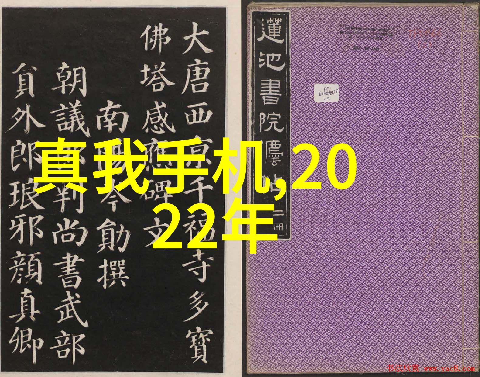 踏入未知解读进入的那一刻的深层情感与心理