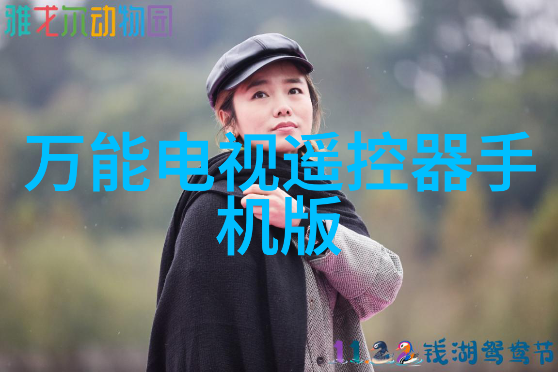 沉降观测的重要性与应用