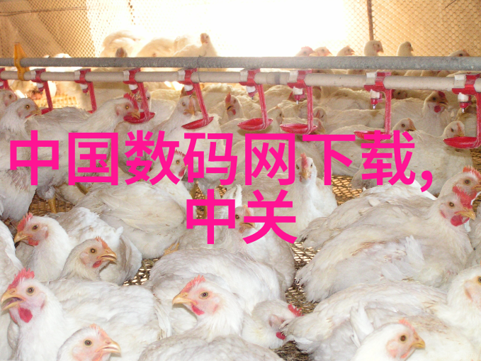 新兴材料在制造更有效率环保型工业用水过滤器中扮演了怎样的角色