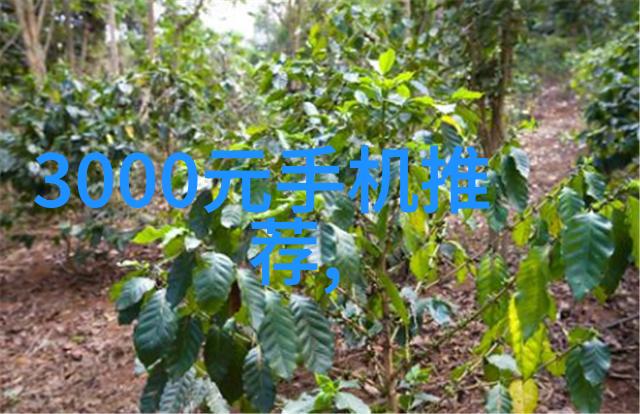 办公装修设计我的小确幸