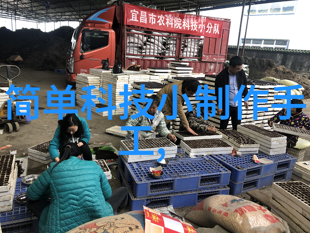 12种室内设计装修风格及特点我家变身的12个不同面孔一探室内设计的多样魅力