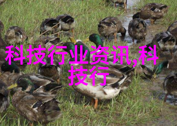 家居美学客厅顶部装饰新趋势