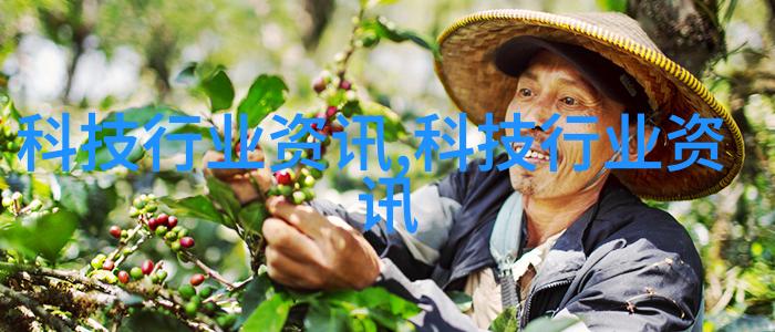 图5:现代沙发设计