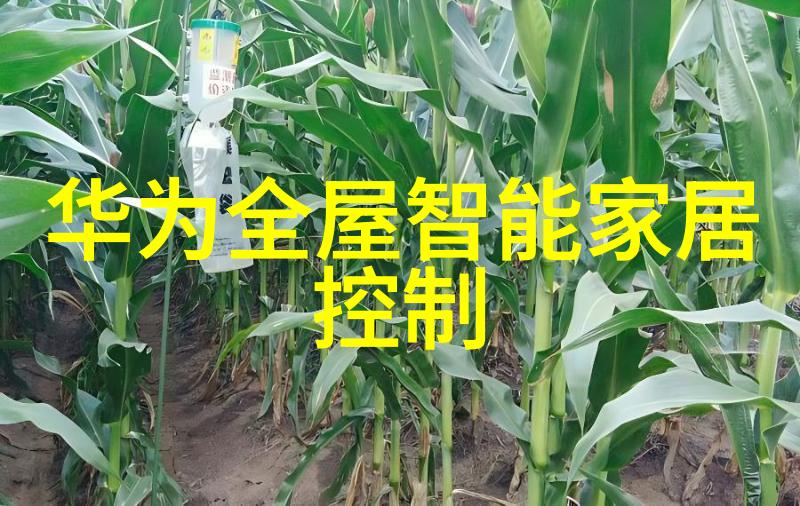 精馏塔的原理和流程-分离纯净揭秘精馏塔的运作机制与实践步骤