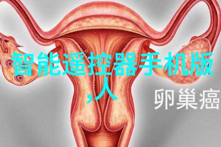 自助装修指南房子自己装修的技巧与建议