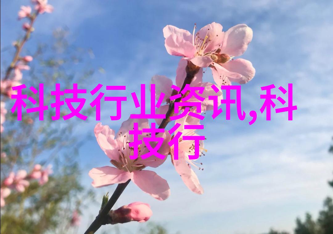 墙纸之谜如何选择一张完美的卧室装饰壁纸