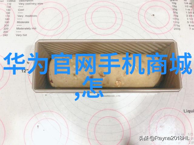 实践与成长大学生的社会活动回顾与展望