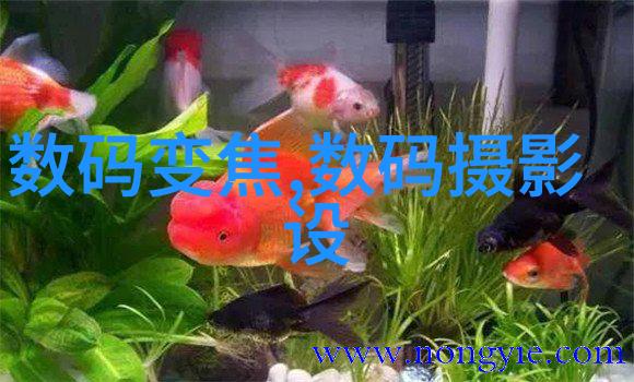 智能装备未来战略的关键驱动力与创新前沿