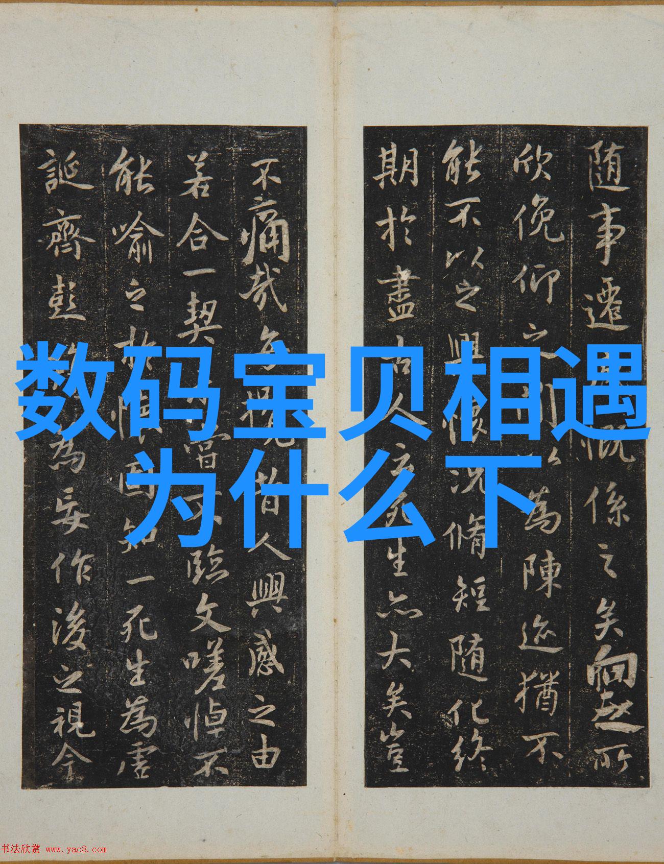 智能穿戴网连接健康生活的无缝体验