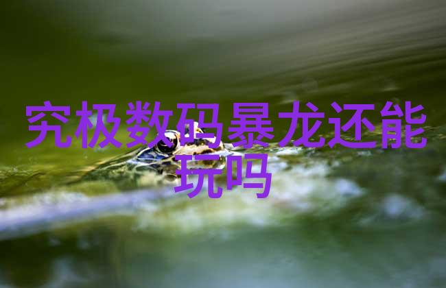 ldb70脉冲袋式除尘器高效清洁工的新伙伴