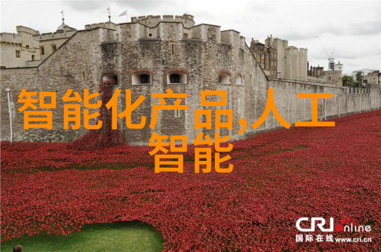 翱翔云端的未来工匠无人机应用技术专业之谜