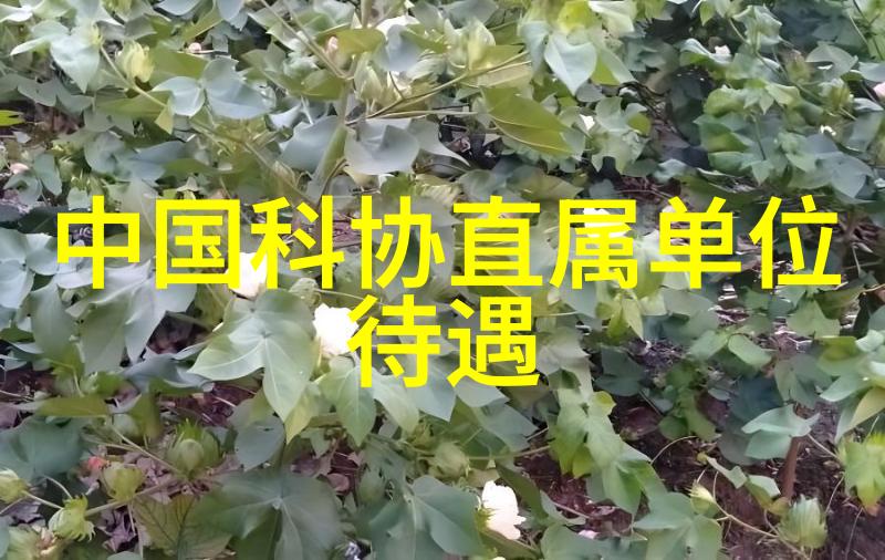 工业机械零件配件网链条上的每一颗钉子