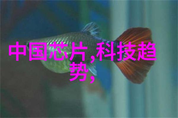 316不锈钢的隐秘威胁长期使用的健康风险与环境影响