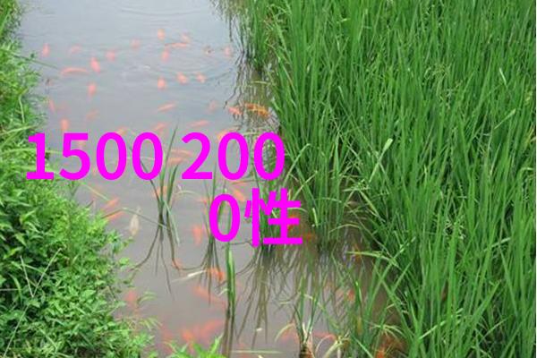 节能减排先行者新型保温材料如何改变未来