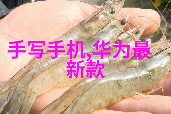 人工湿地火山岩填料我是怎么把庭院变成生态小天地的