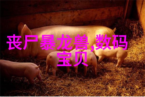 中国最大的专利交易平台我在这里可以轻松转让我的专利呢