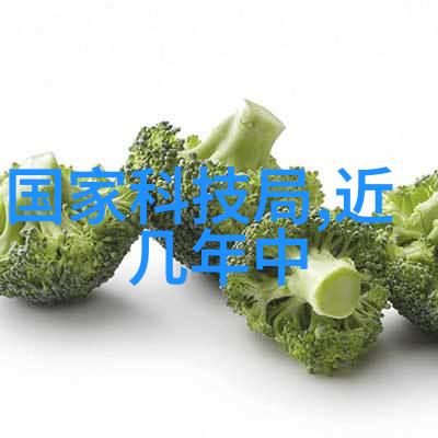 广东职业技术学院是如何与行业合作提供实习和就业机会的