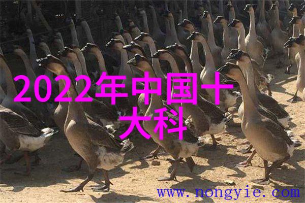 空气净化器配置指南让乘客呼吸更健康
