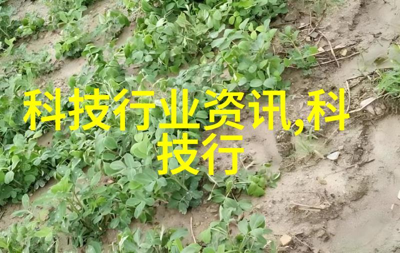 未来家庭将会拥有哪种类型的智能家居机器人作为伙伴