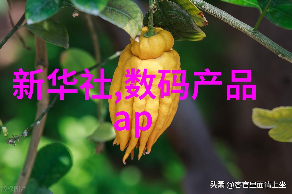 华为芯片突破新纪元5纳米工艺与量子计算的未来趋势