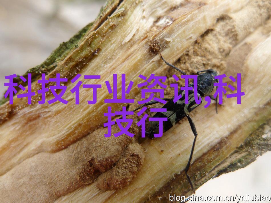 立式沉降式离心机背后的神秘力量与未解之谜