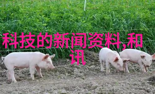 02KKK影视探秘