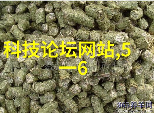家居美学从设计图到实体装修的完美转换