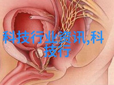 输送机械设备-高效物料搬运揭秘输送带与链条的选择标准