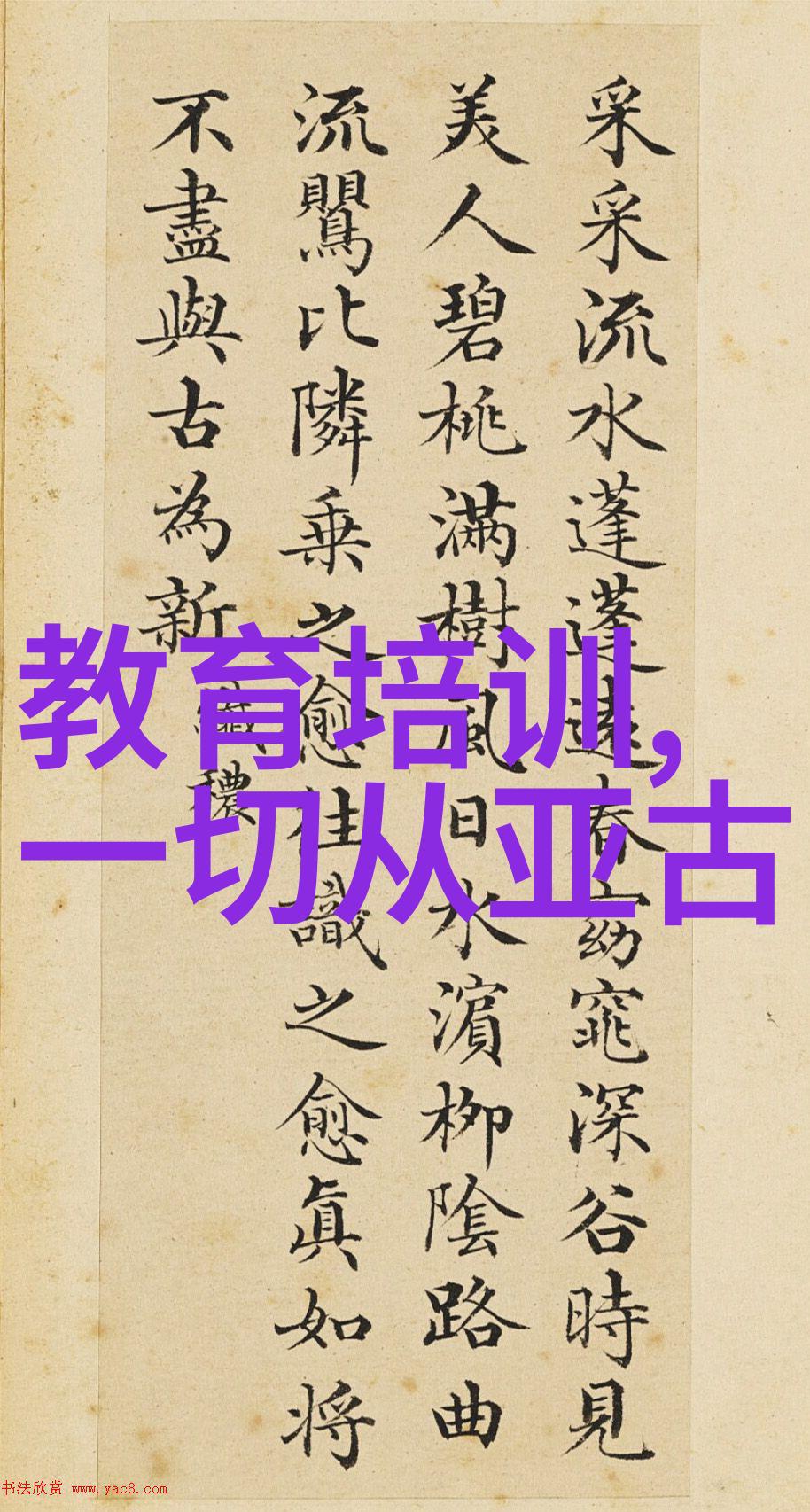 大肥波BBWWHBBWW的奇幻冒险