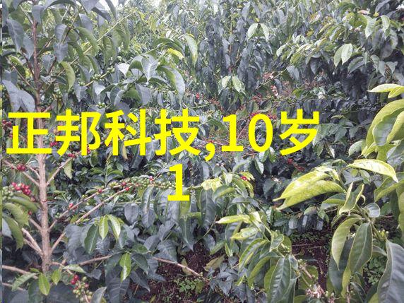 自动拆包机的智能化革命提升物流效率新篇章