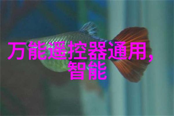 紫府仙缘全文阅读古风仙侠奇缘