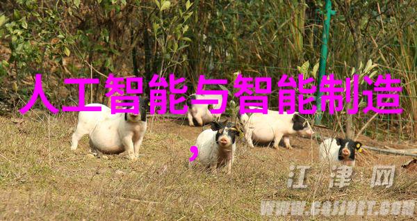 全自动灭菌器高效无人化的医疗器械清洁与消毒解决方案