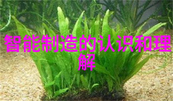 小型汽车配件批发市场-车饰大师揭秘高性价比的装饰宝库