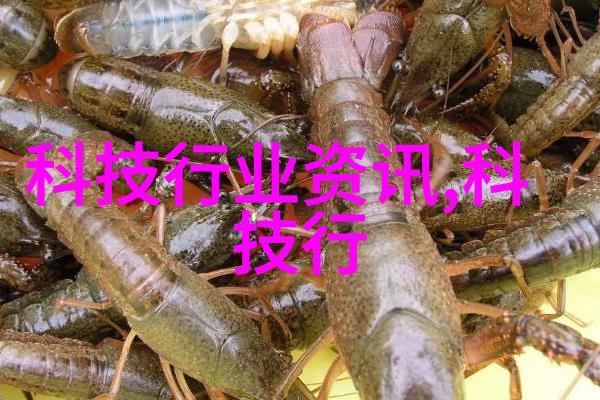精密筛选解决方案深入了解过滤油水分离设备原理
