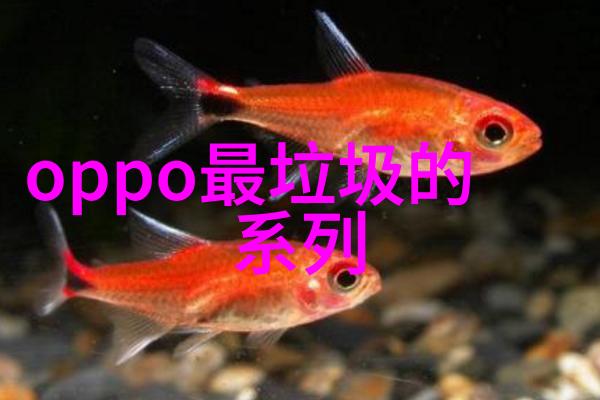 五年使用后不锈钢橱柜的现状与保养建议