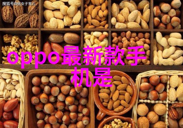 异世生活中的囤积狂丰富的收藏与日常挑战