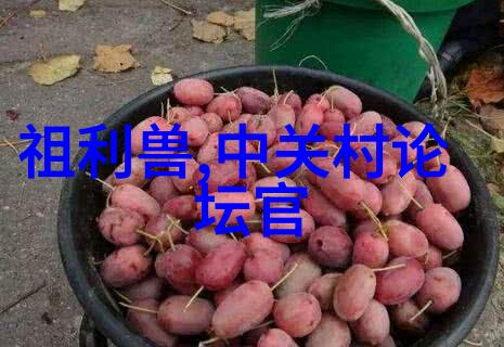 风声中的密锁
