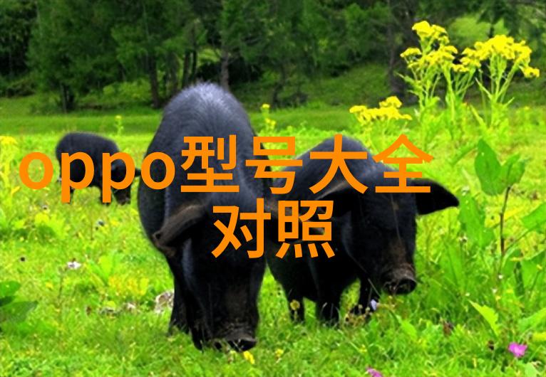 生物安全柜防护生命的净化工厂