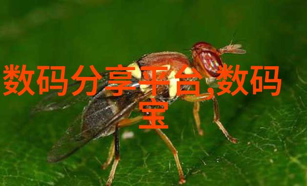 水质检测指标解析揭秘什么水质检测结果才算正常