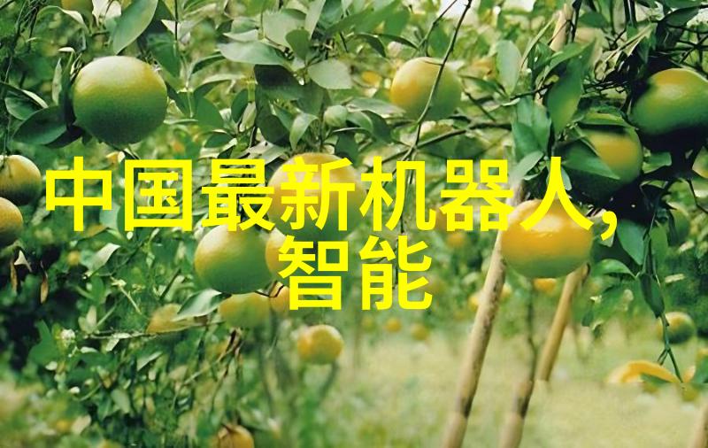 高效分离技术膜分离设备的应用与发展