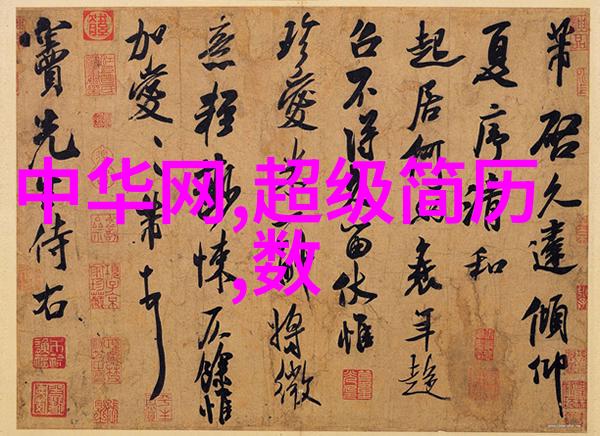 环形填料的多样性从传统到现代的选择