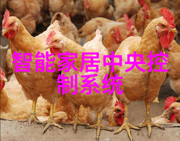 如何确定建筑物的防水需求