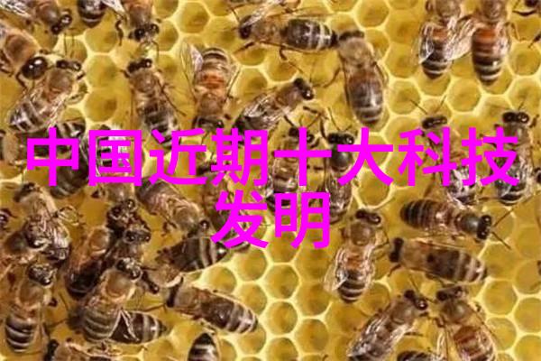 迈开腿让我尝一下CH - 跨越文化边界的味蕾探险