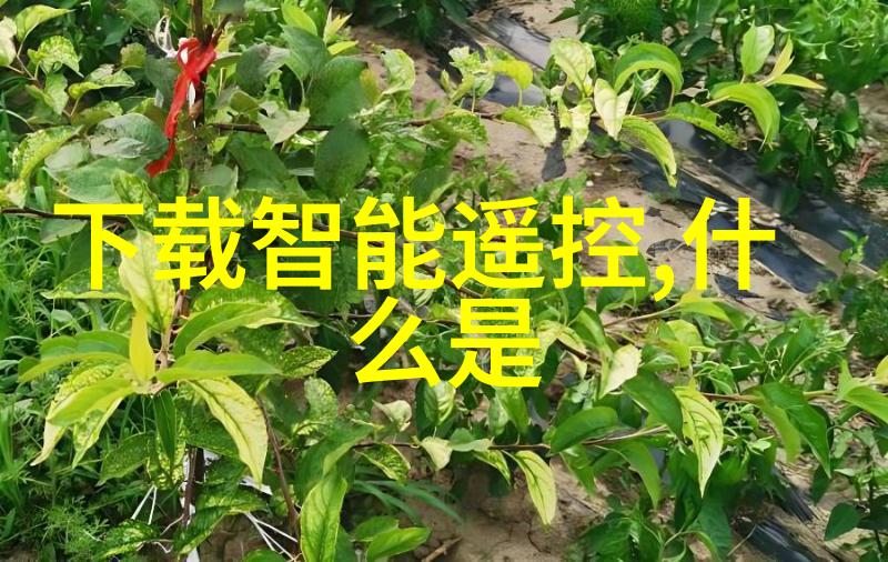 蒸汽之舞板式蒸发器的艺术与科技
