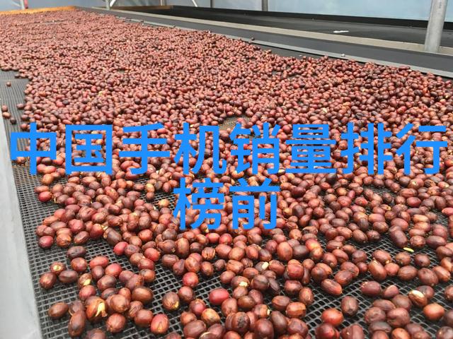 塑料管材制造商的发展趋势与创新实践