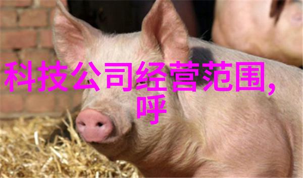 龙物传说神秘古老的龙种故事