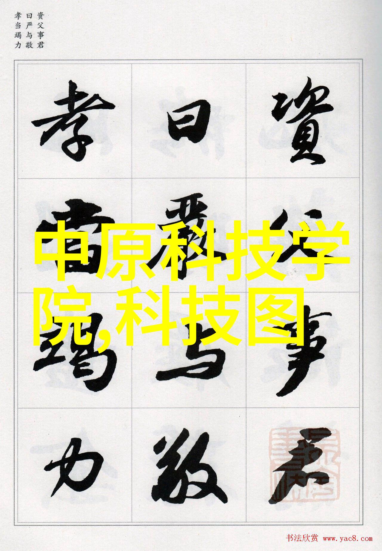 探究pp填料在现代包装材料中的应用与创新
