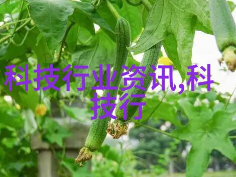 离心大师从旋转的椅子到宇宙的中心如何用幽默教你理解基本原理
