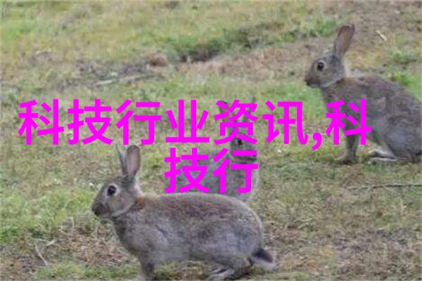 安徽水利水电职业技术学院的秘密之井